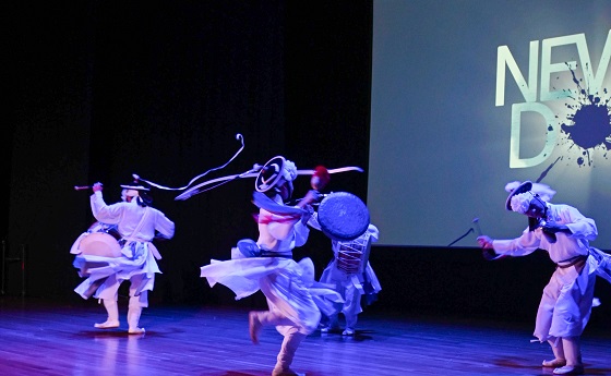 Annual Korean Adoptee Cultural Roots Festival in Houston