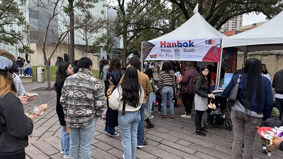 Annual MFAH Winter Festival (Luna Festival)