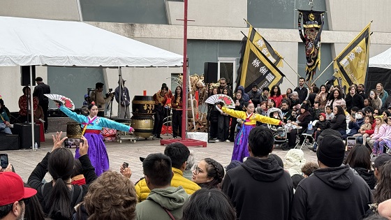 Annual MFAH Winter Festival (Luna Festival)