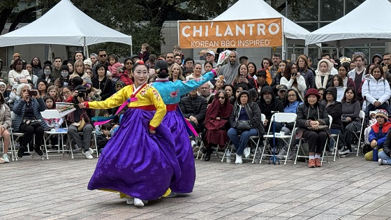 Annual MFAH Winter Festival (Luna Festival)