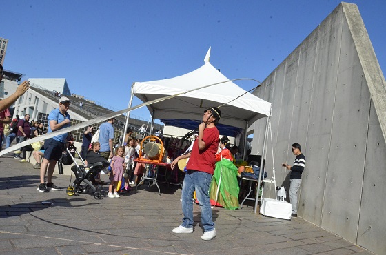 Annual MFAH Winter Festival (Luna Festival)