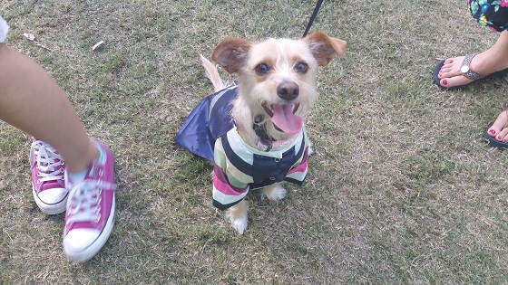 Hanbok photo booth at Houston Korean Festival